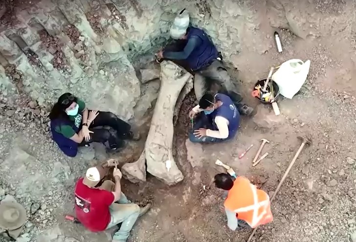 g1's tweet photo. Nova espécie de dinossauro gigante é descoberta no Brasil e tem ligação com fóssil da Espanha https://t.co/90a2C2oSqV https://t.co/8UxxSdRLnv