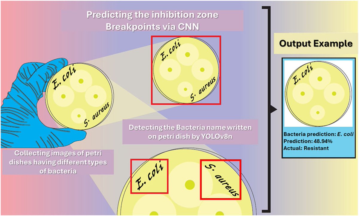 Biomedical Journal tweet media
