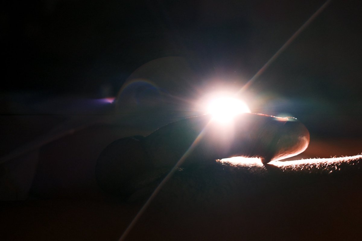 Liberte Photography tweet media