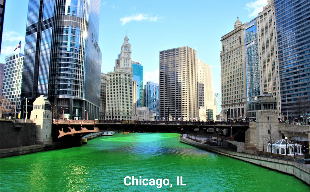 Greyhound Bus tweet media