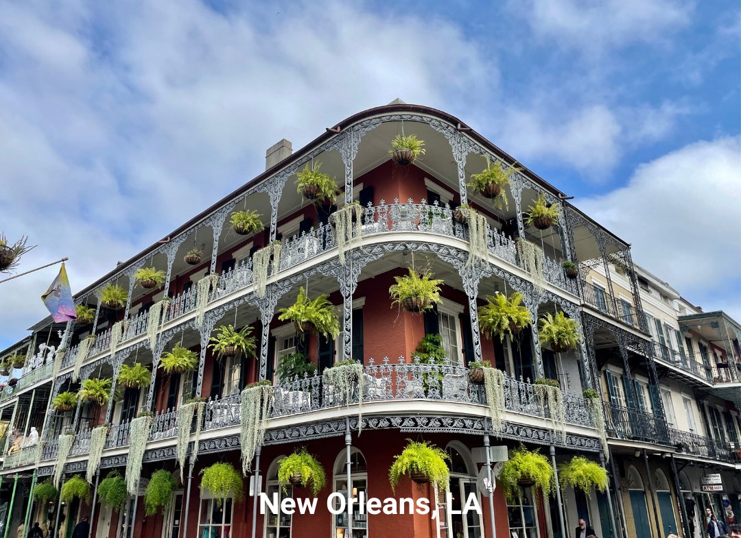 Greyhound Bus tweet media