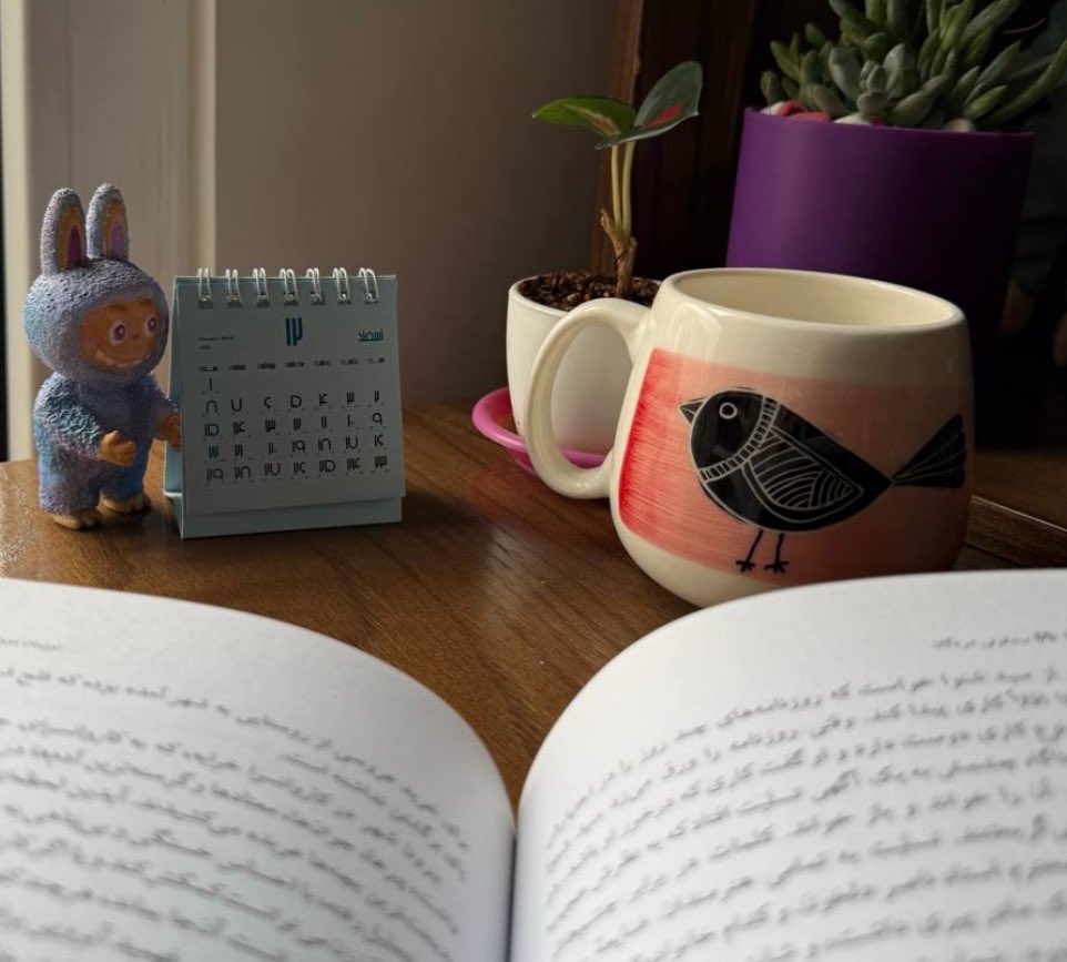 Ghoncheh Habibiazad | غنچه tweet media