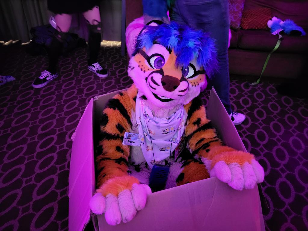 Trexler 💙 tweet media