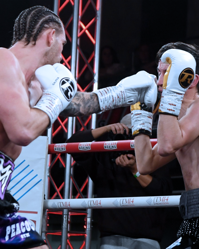 Neilson Boxing tweet media