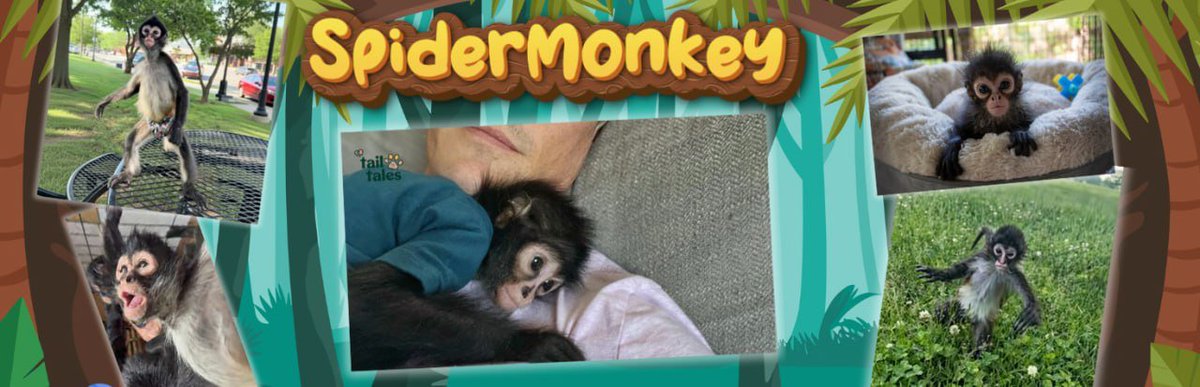 APED $WINSTON  

Owner is onboard and fees sent to rescue charity. 

2BcPK2AvLrLDiekQmXqtVDYn79jVvZVVSihxXhJZpump