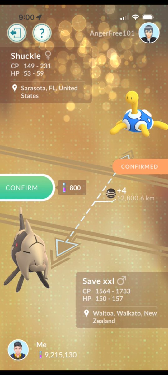 KiwiSteve007 tweet media