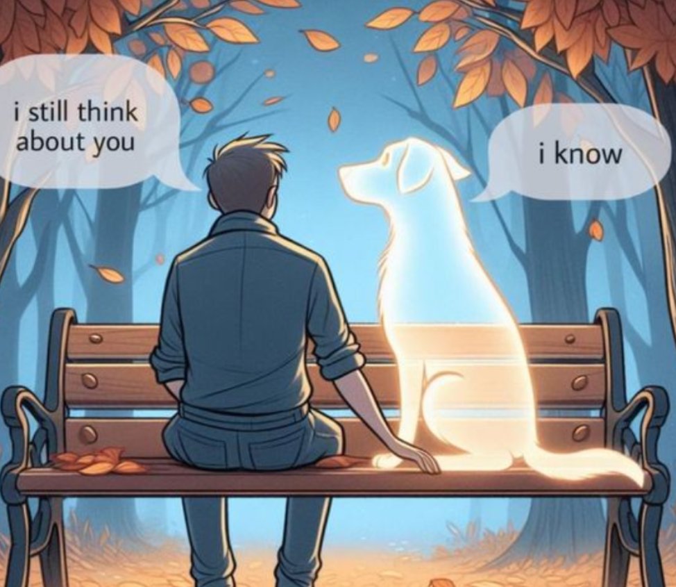 Best in Dogs tweet media