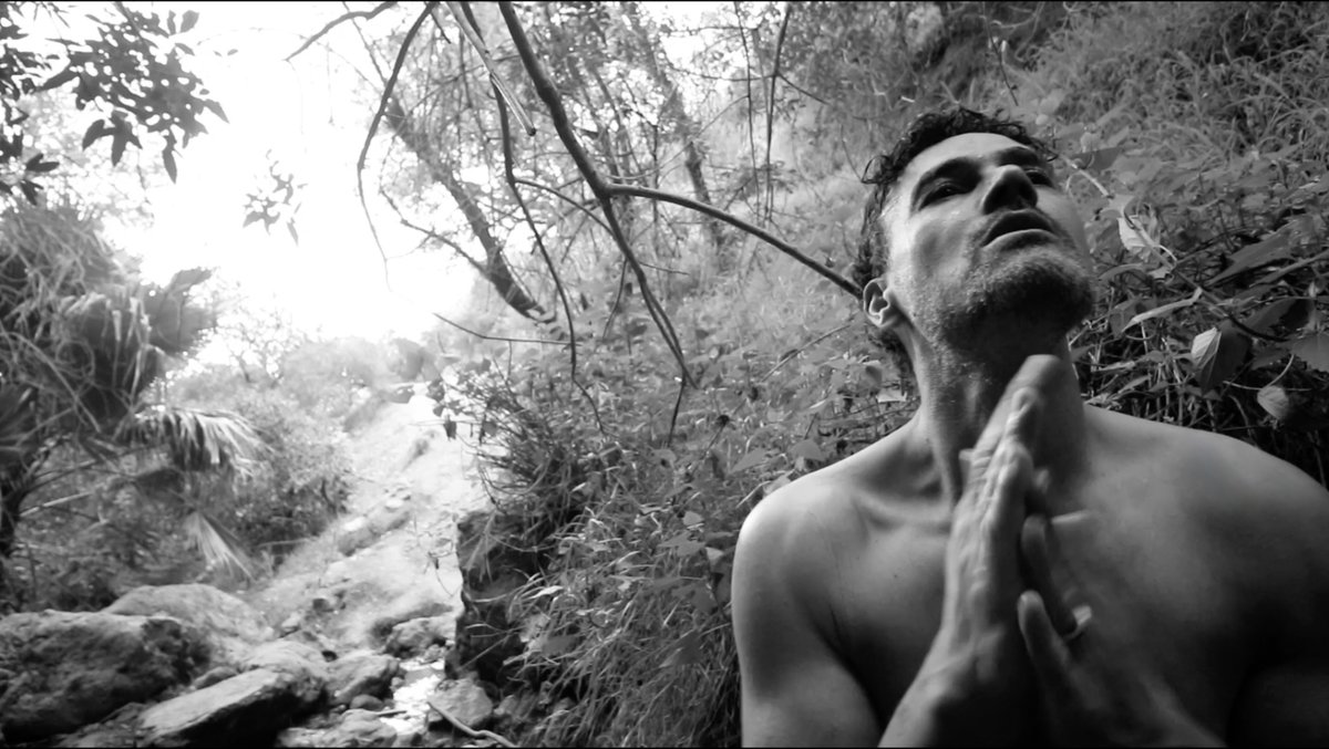 The Outwaters tweet media