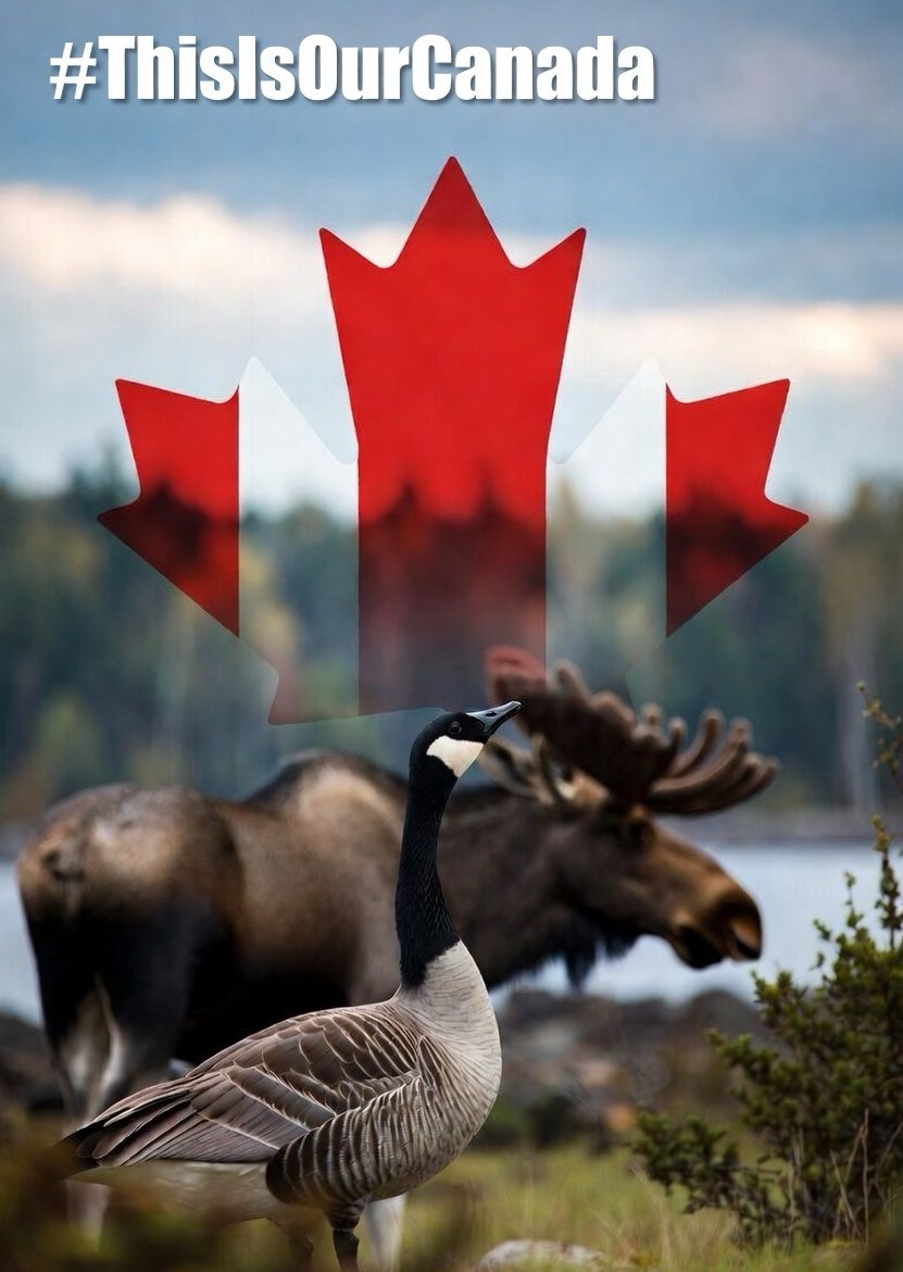 United Canada 🇨🇦 tweet media