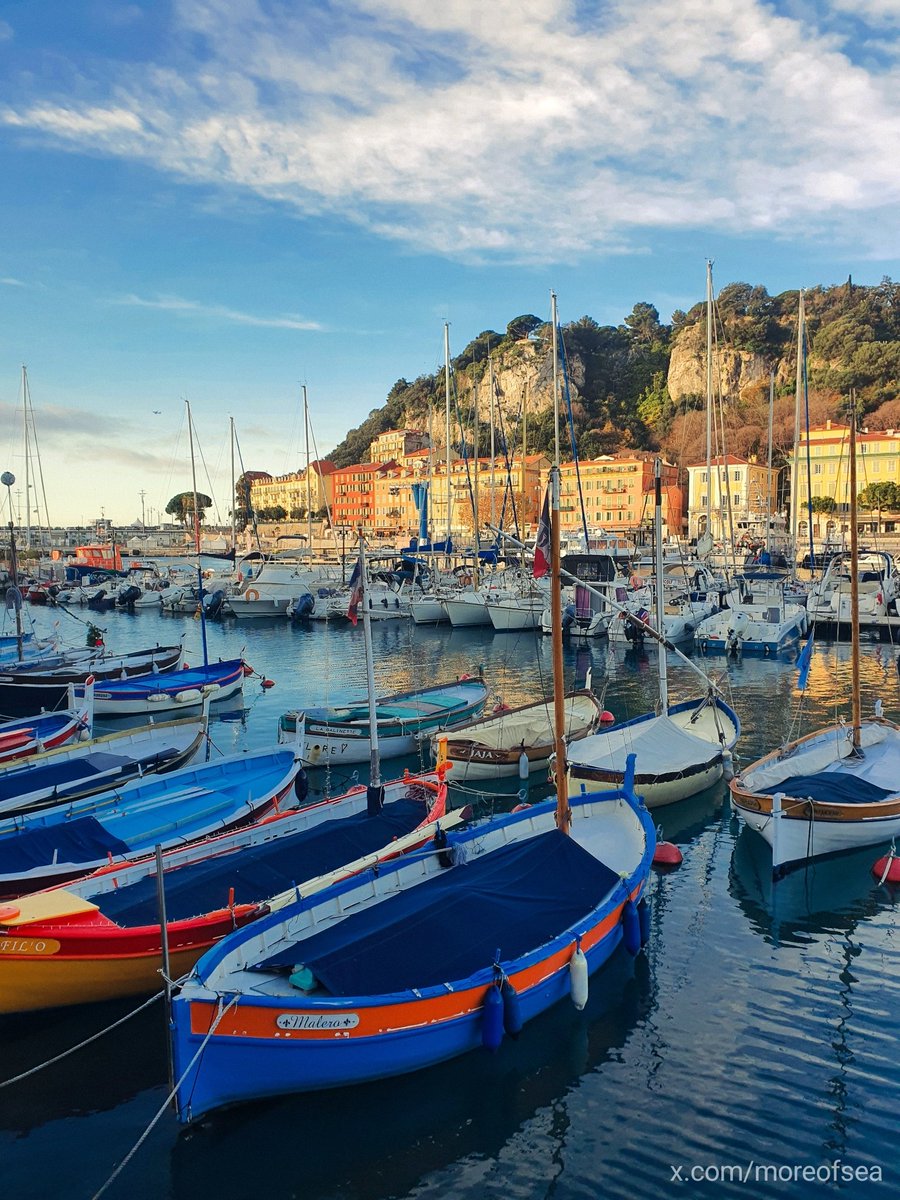 MoreofSea 🌅📷 tweet media