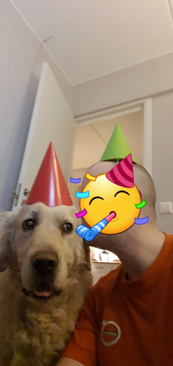 Aktiesnigeln's tweet photo. Grattis Max på 6 årsdagen, nu är han medelålders goldens blir i snitt 12år. Ballongen var nog roligare för mig än honom 🤣 #trauma #goldenretriver #birthday https://t.co/mXx57XPtif