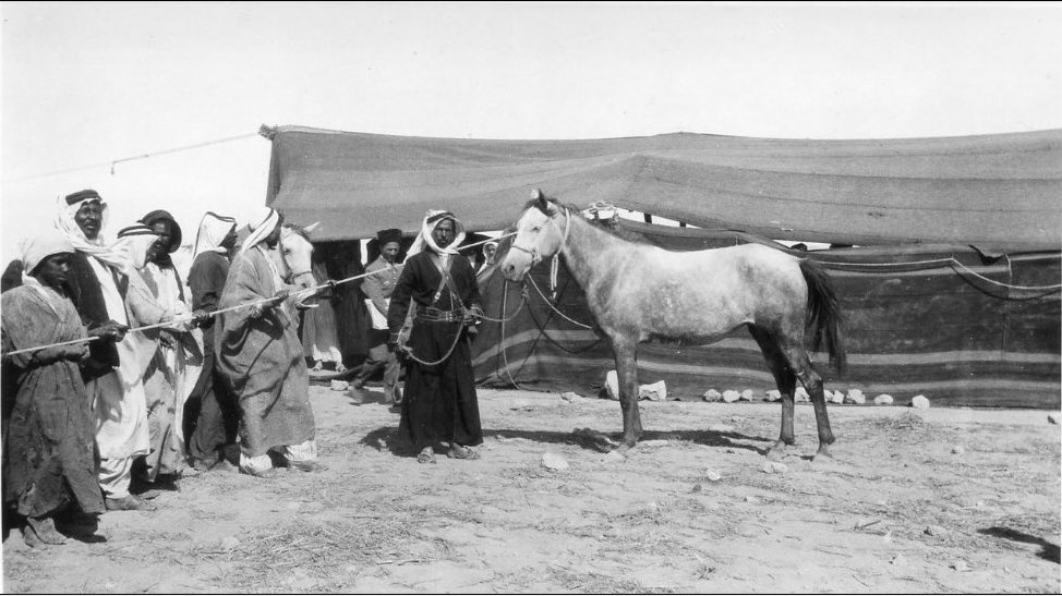 Syrian Aura tweet media