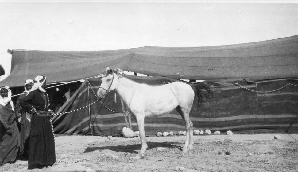 Syrian Aura tweet media