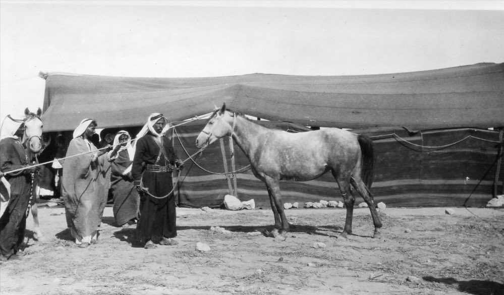 Syrian Aura tweet media