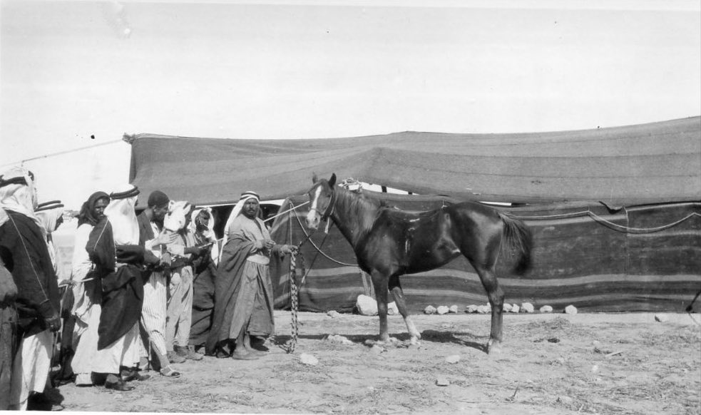 Syrian Aura tweet media