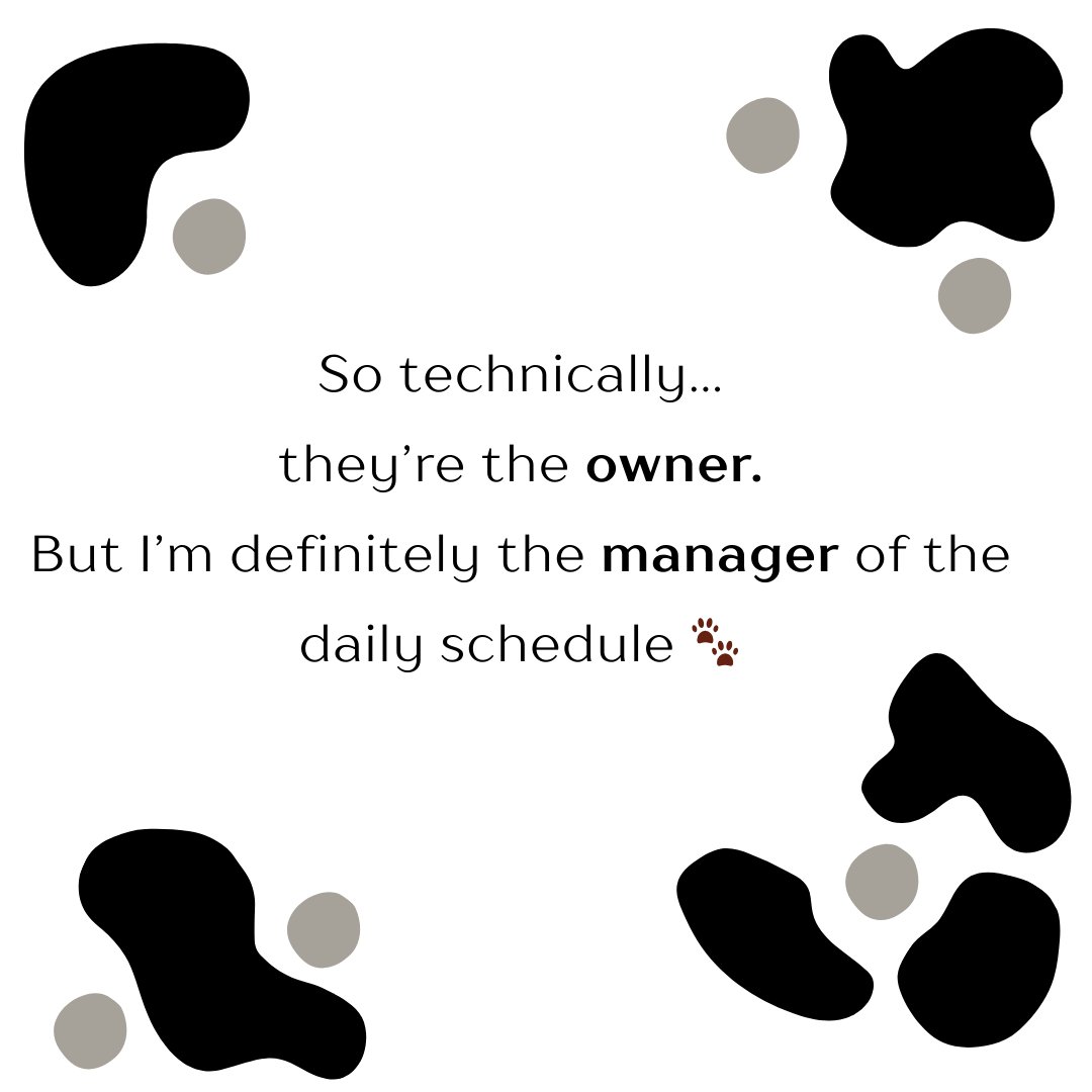 YourpetsPOV's tweet photo. You think you run the house… until you get a dog. 🐶

Now there’s a full-time manager supervising breakfast and walk schedules.

Technically you’re the owner.
But we all know who’s really in charge. 🐾

Follow us for more! 

#dogs #cutedogs #goldenretriever #lifestyle #box #fyp https://t.co/XAPit8JC31