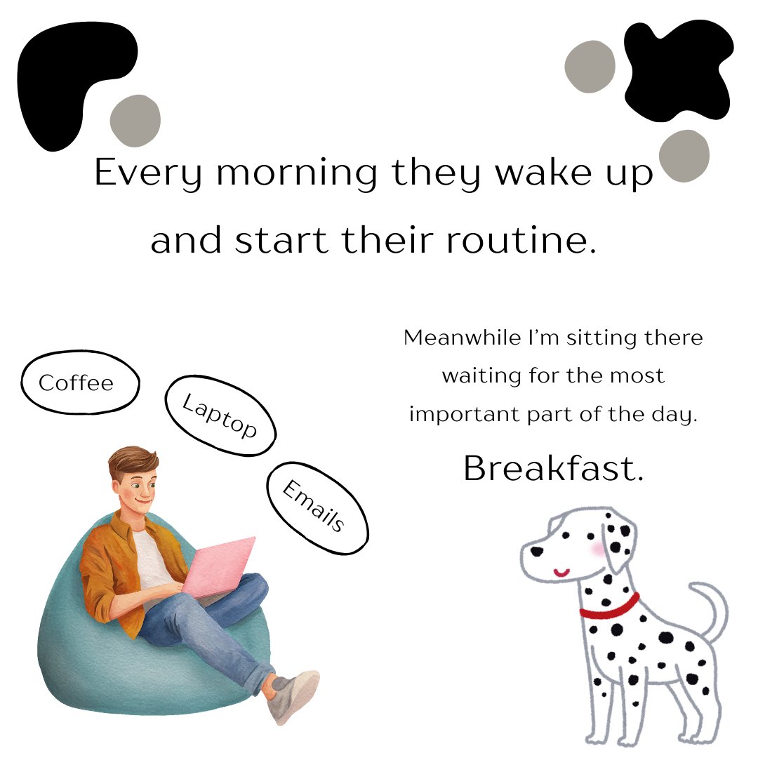 YourpetsPOV's tweet photo. You think you run the house… until you get a dog. 🐶

Now there’s a full-time manager supervising breakfast and walk schedules.

Technically you’re the owner.
But we all know who’s really in charge. 🐾

Follow us for more! 

#dogs #cutedogs #goldenretriever #lifestyle #box #fyp https://t.co/XAPit8JC31