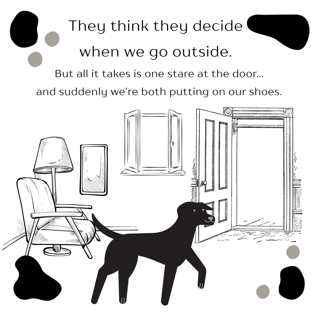 YourpetsPOV's tweet photo. You think you run the house… until you get a dog. 🐶

Now there’s a full-time manager supervising breakfast and walk schedules.

Technically you’re the owner.
But we all know who’s really in charge. 🐾

Follow us for more! 

#dogs #cutedogs #goldenretriever #lifestyle #box #fyp https://t.co/XAPit8JC31