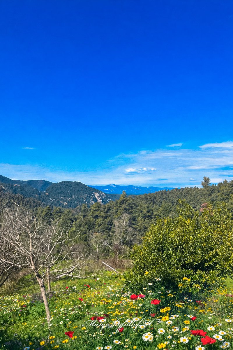 Mary🌻 tweet media