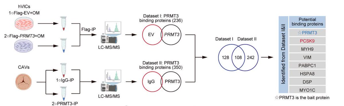 Circulation tweet media