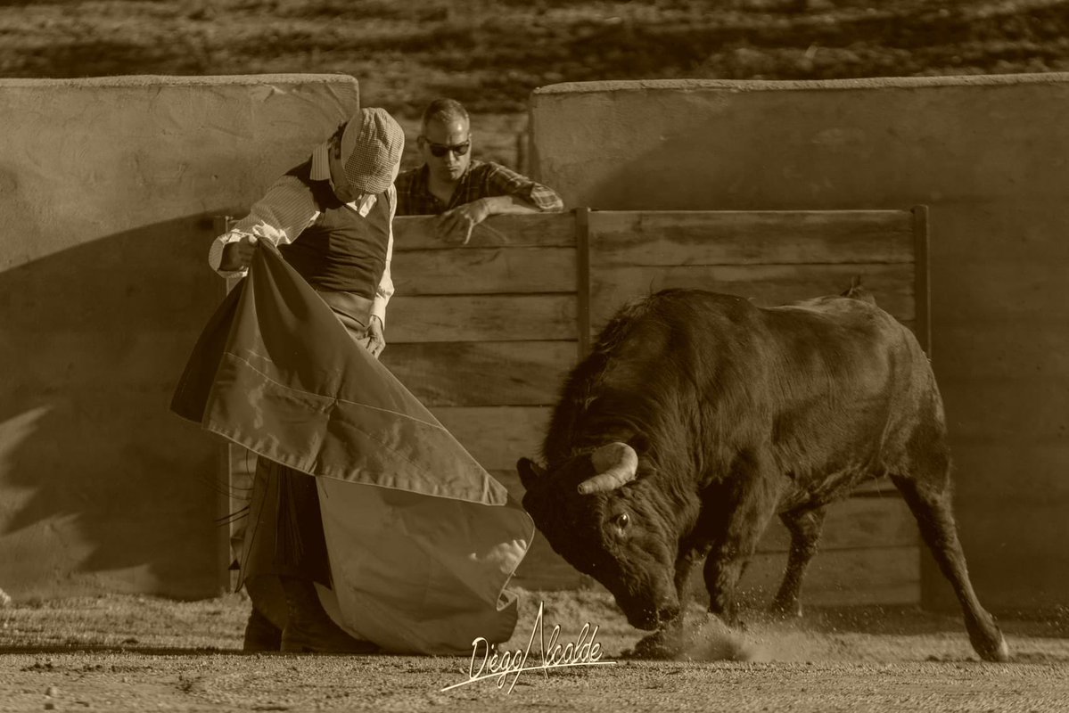 Diego Urdiales tweet media