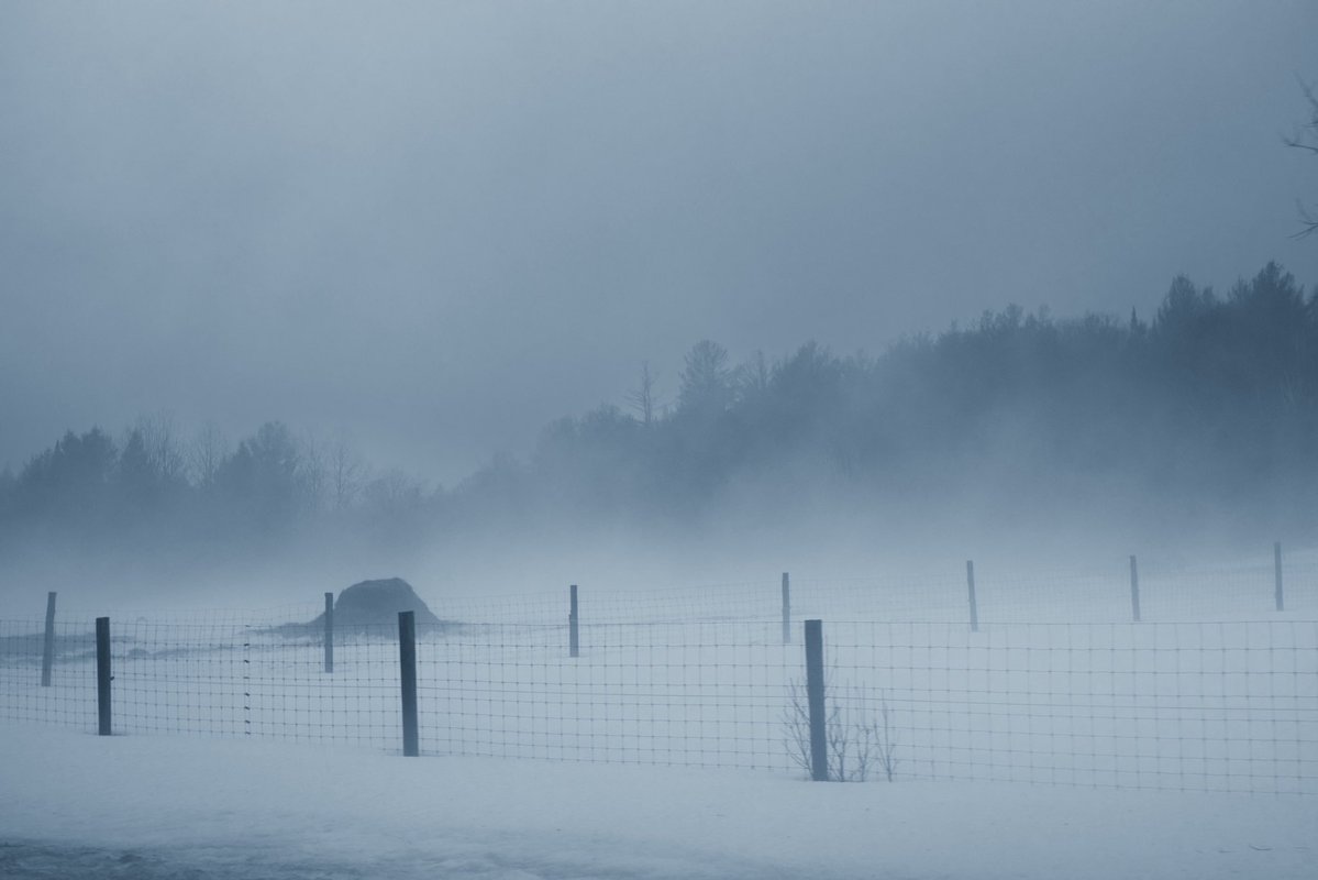 Loki Highlock tweet media