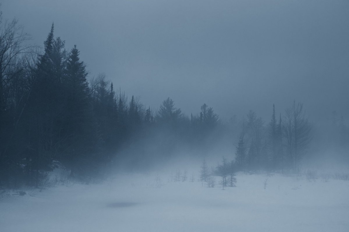 Loki Highlock tweet media