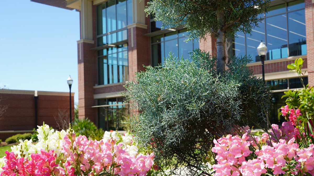 FSU Student Union tweet media