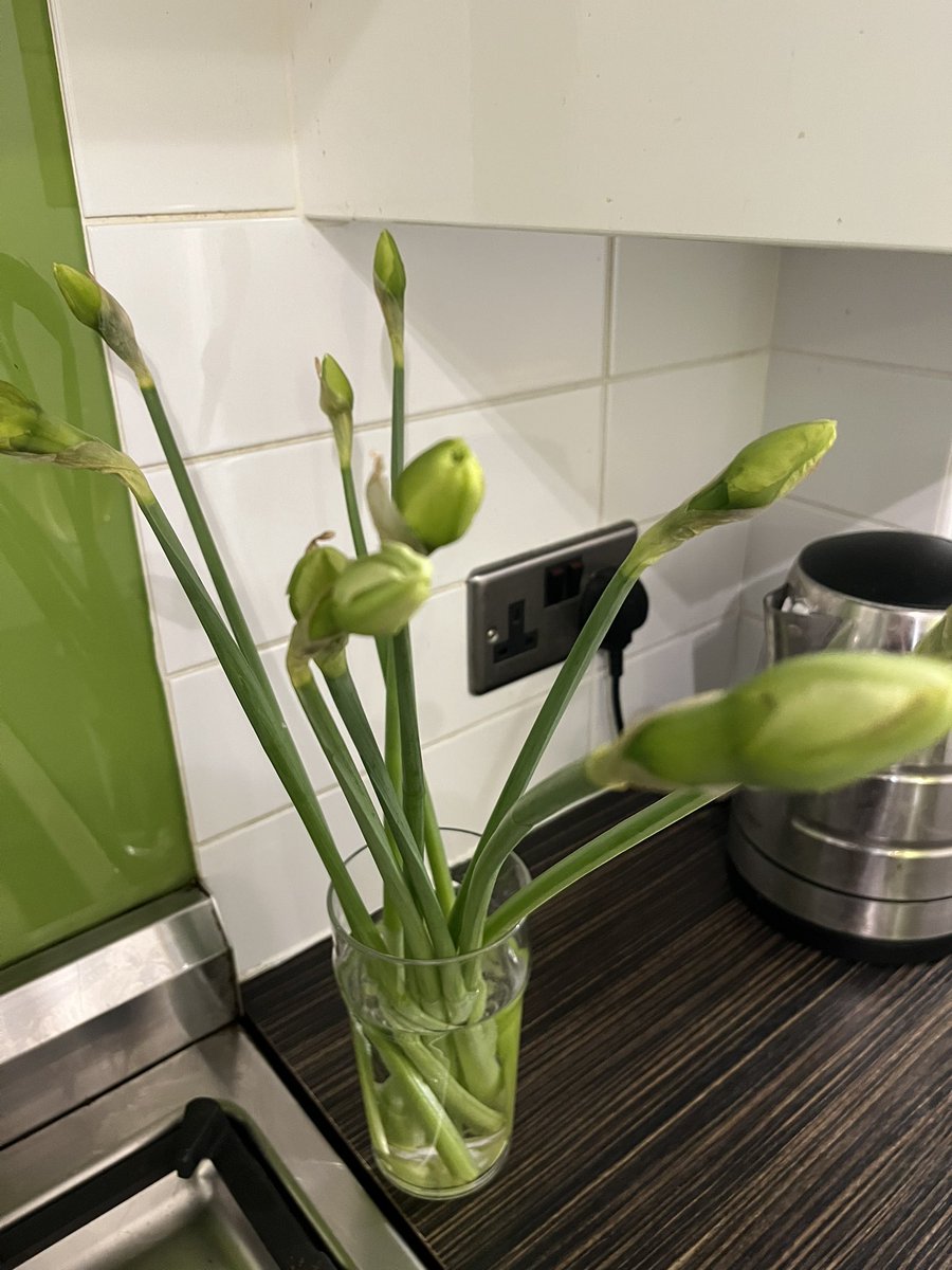 Alcester Academy tweet media