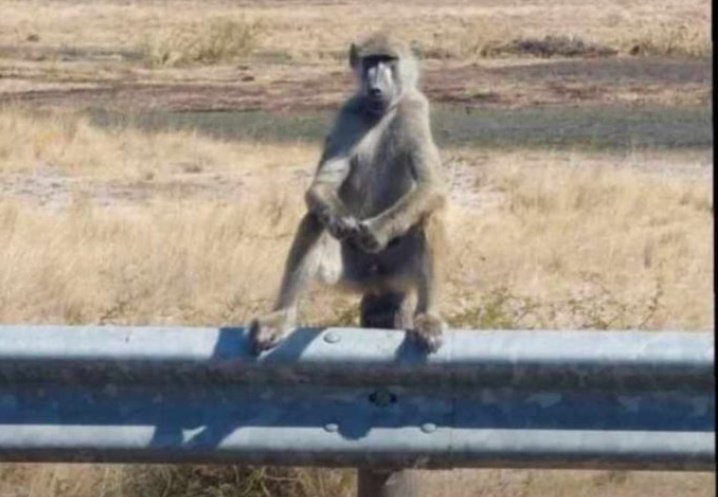 𝐗 𝐑𝐚𝐭𝐞𝐝☆ tweet media