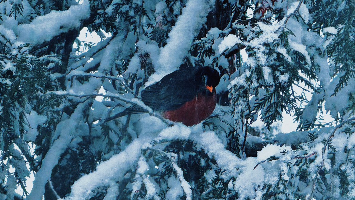 Doe 𐂂 tweet media