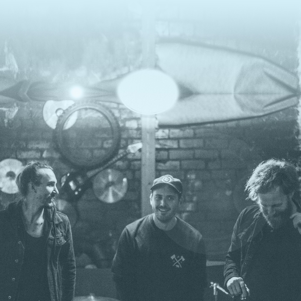 Beehive Candy tweet media