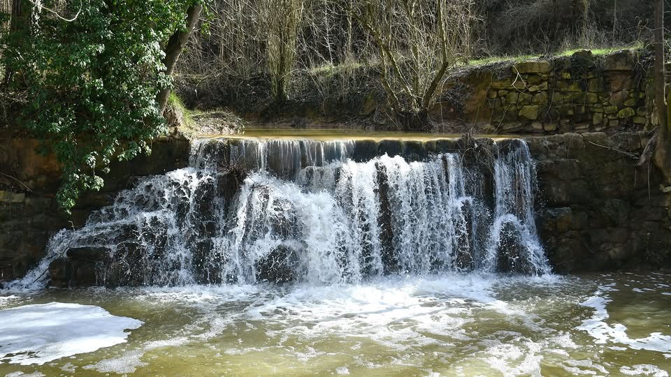 nascudaalasegarra tweet media