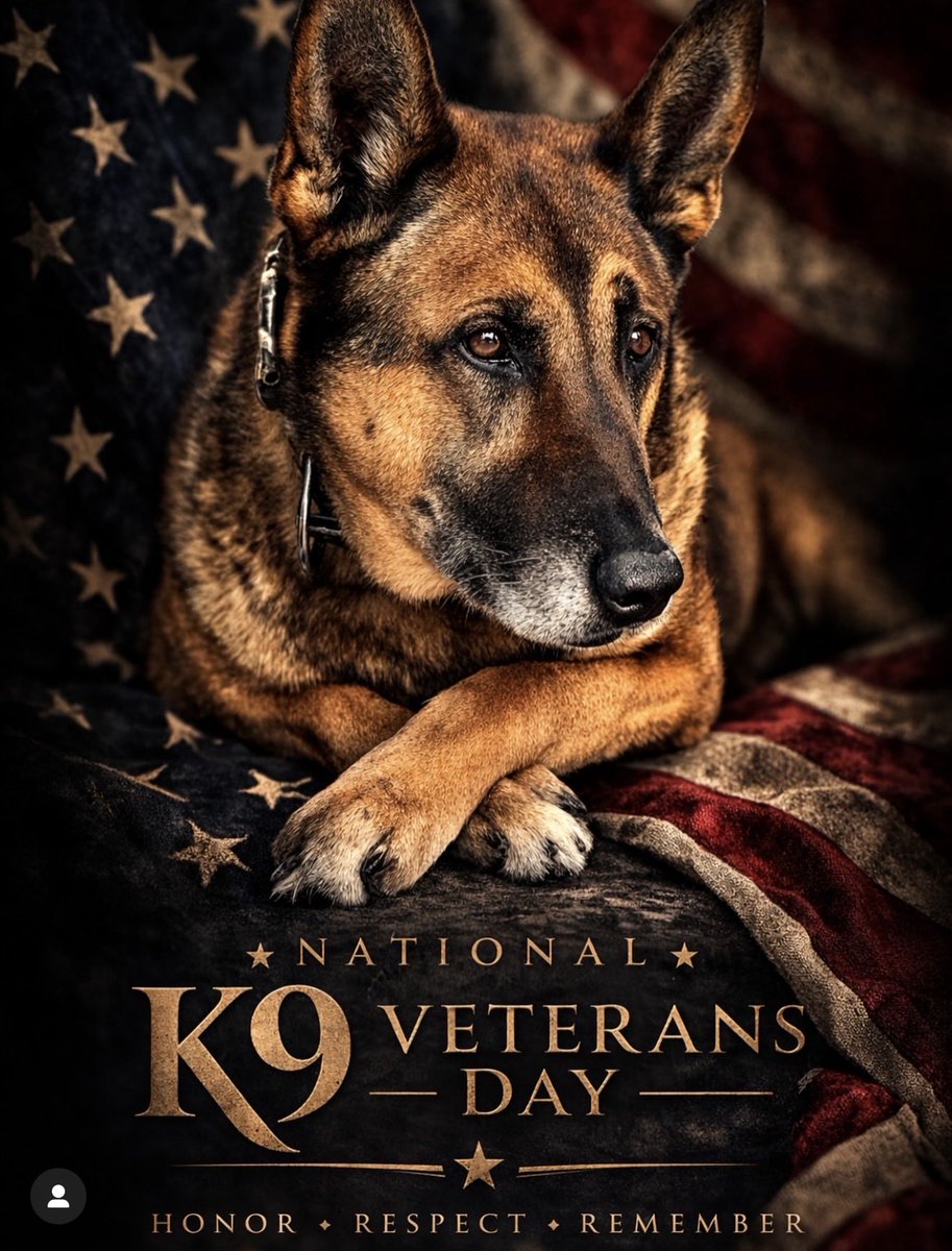 AmericanSoldierNetwk tweet media