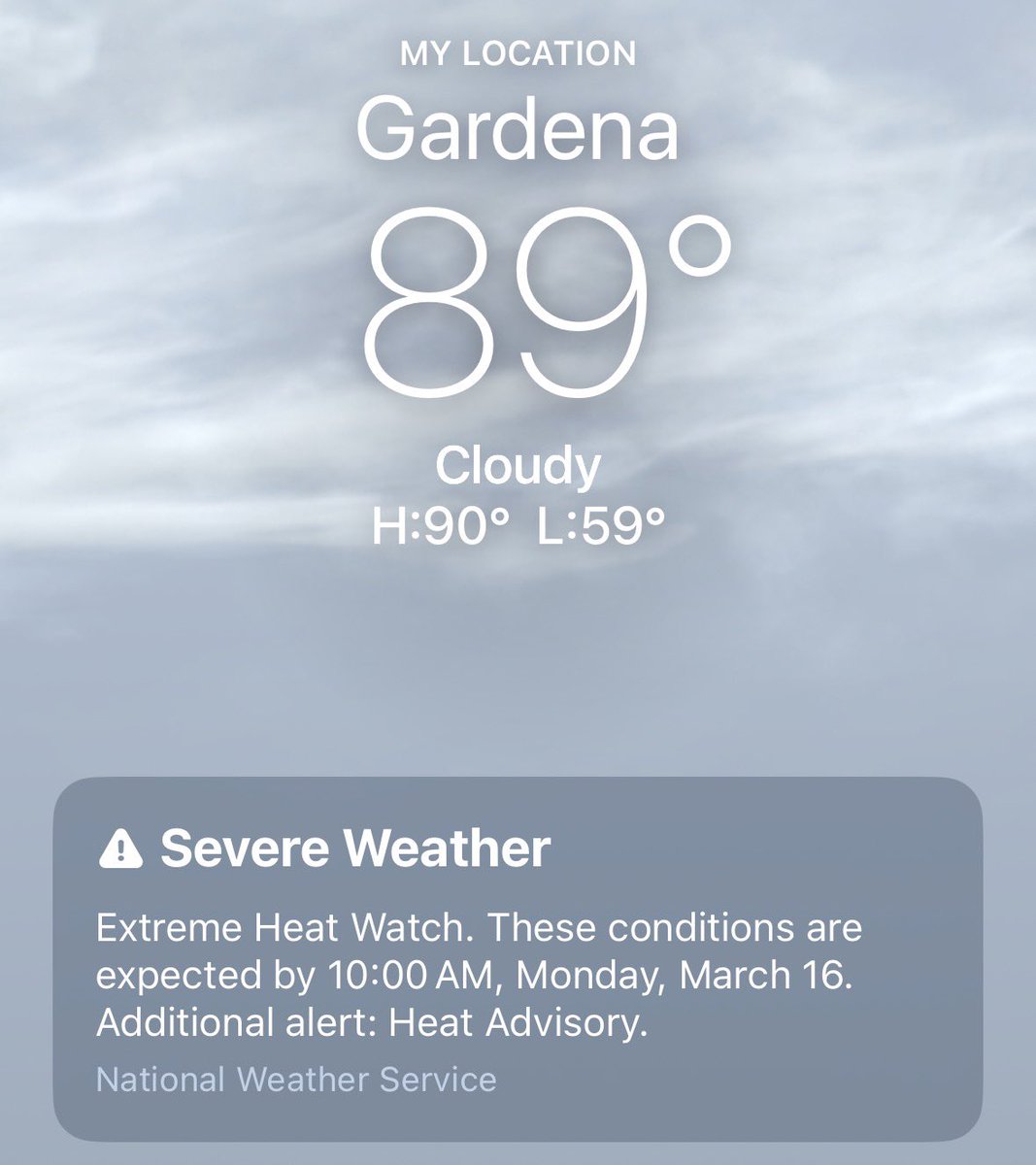 Frank M. 📸 tweet media