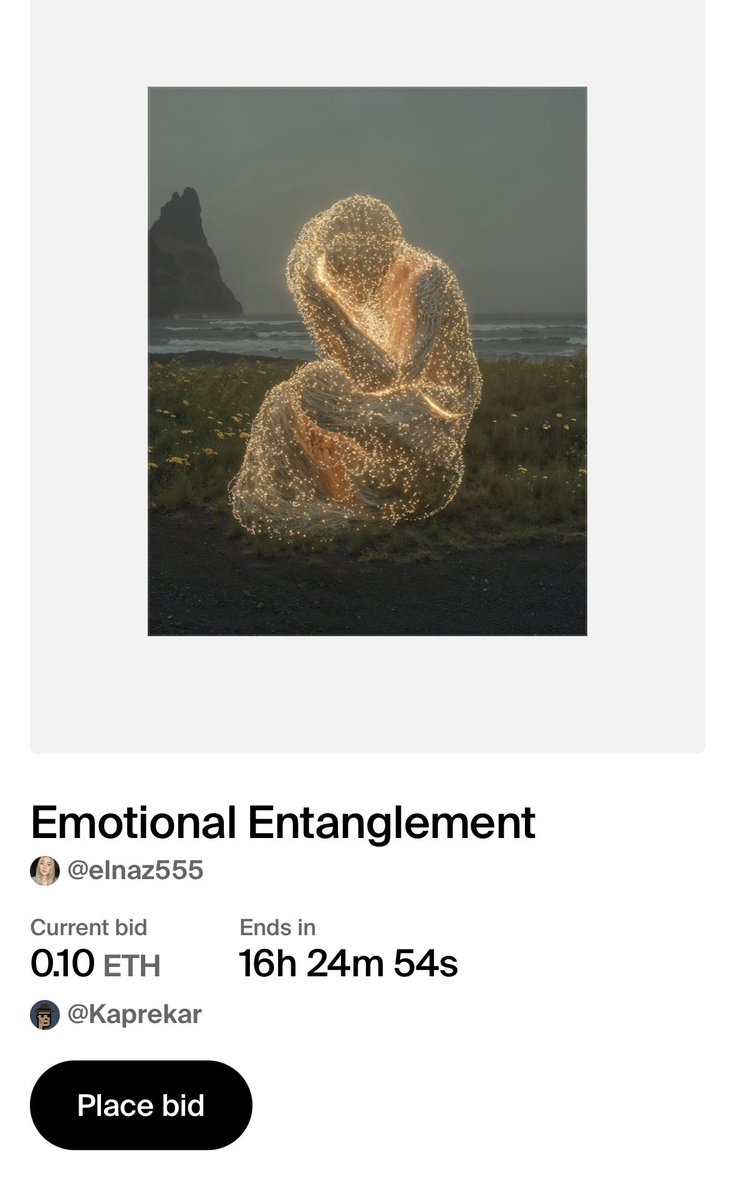 Elnaz Mansouri tweet media