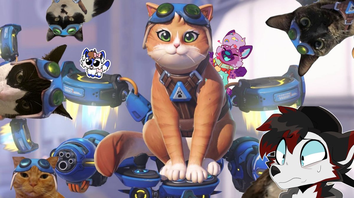 LittleWinter 🎀🇬🇧👑 tweet media