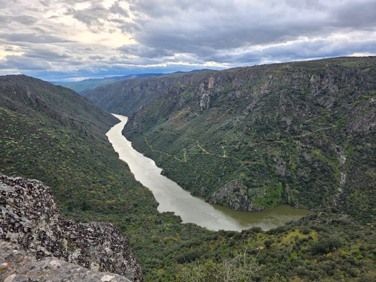 Seat600Cantabro's tweet photo. #Gracias a la iniciativa d un socio d nuestro Club, natural de Vilvestre (#Salamanca), nos ha organizado un magnifico fin d semana por los Arribes del Duero, en el nos encontramos 10 coches. Esperemos que eventos como este se repitan en otras ocasiones
#Seat600
#CantabriaInfinita https://t.co/dDr2kpzl72
