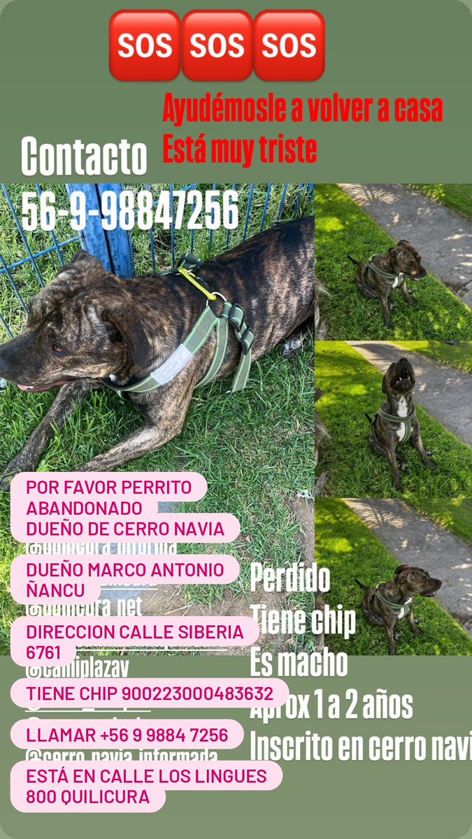 Ma. Daniela Yañez F tweet media