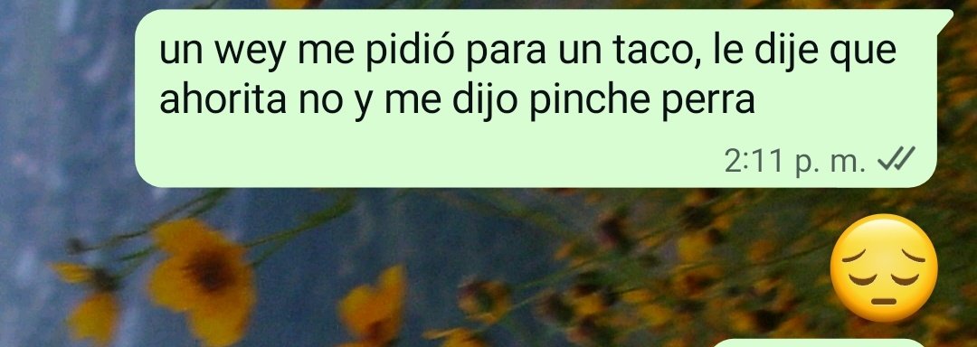 AndreaErreguin's tweet photo. a parte ya se iba y se regresó para decírmelo 😀 https://t.co/QhBsL838Ap