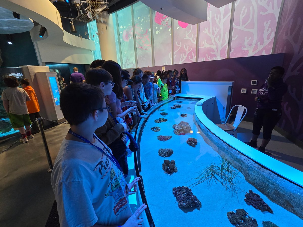 FanniePB tweet media