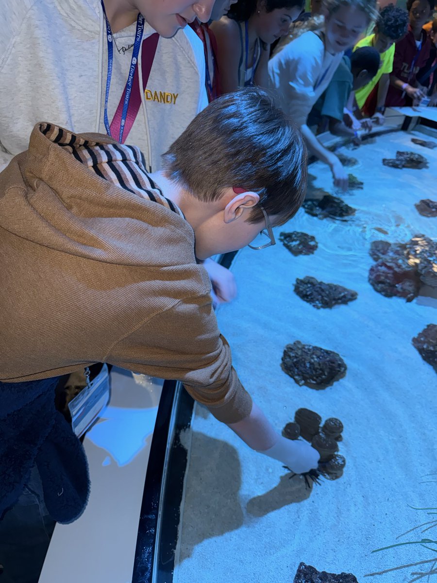 FanniePB tweet media