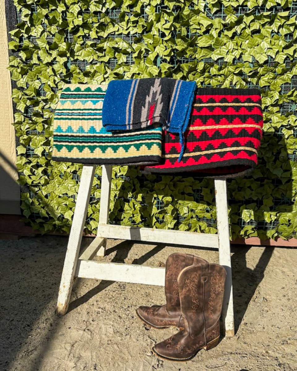 Helen Woodward Animal Center tweet media