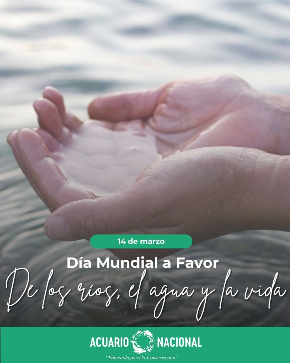 Acuario Nacional RD tweet media