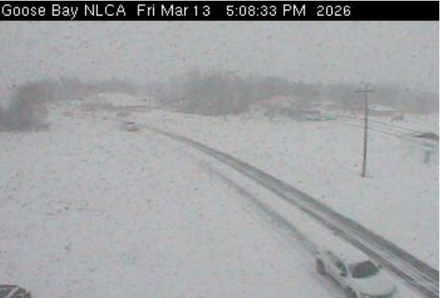 Rodney Barney tweet media