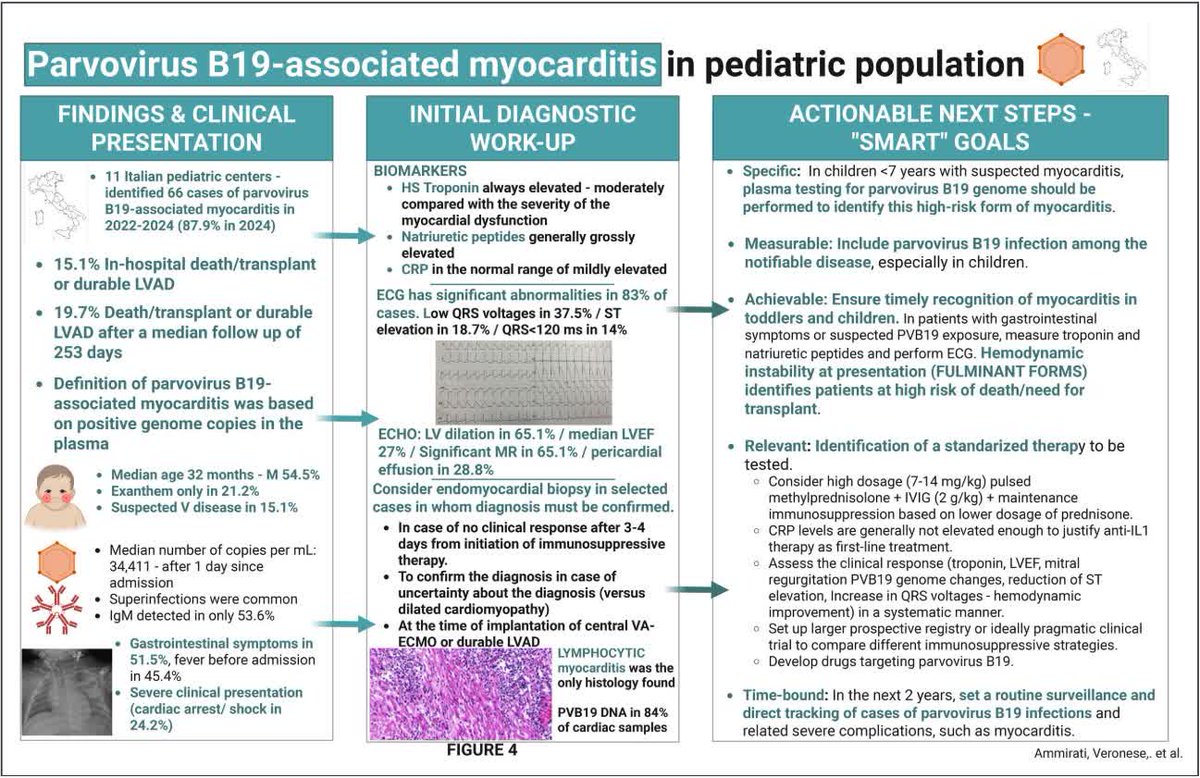 Circulation tweet media