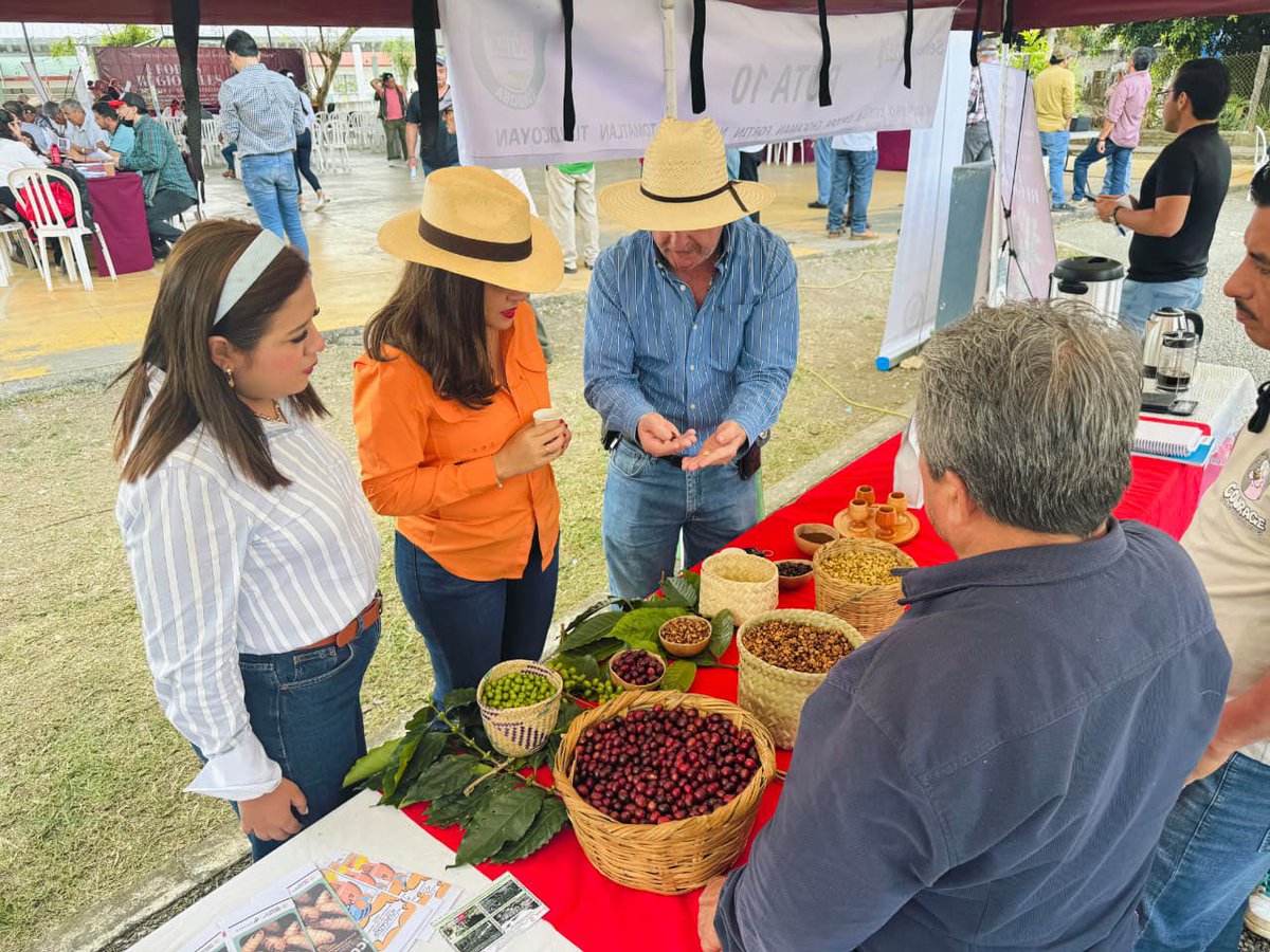 Congreso de Veracruz tweet media