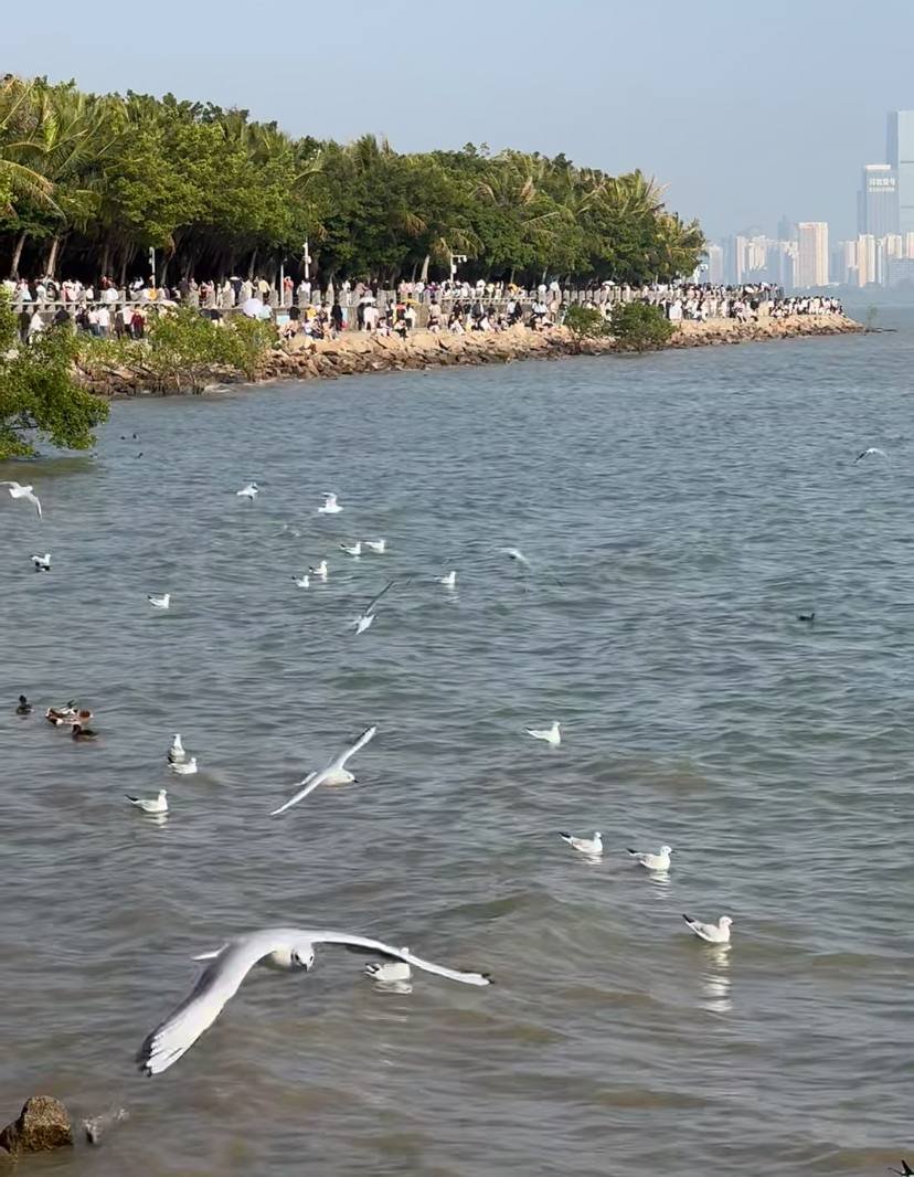 片刻柔情它骗不了人 tweet media