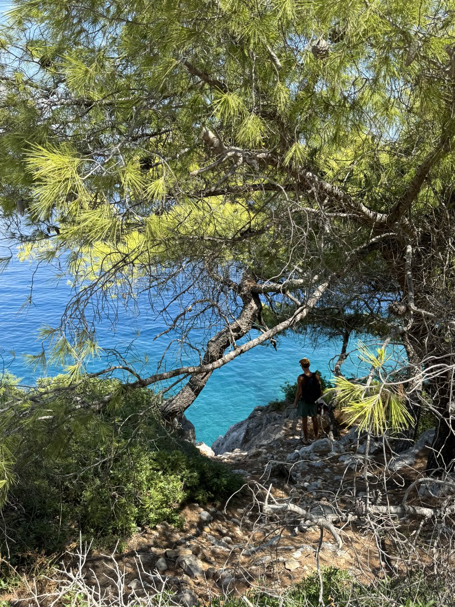 Flavvv 🦦 tweet media