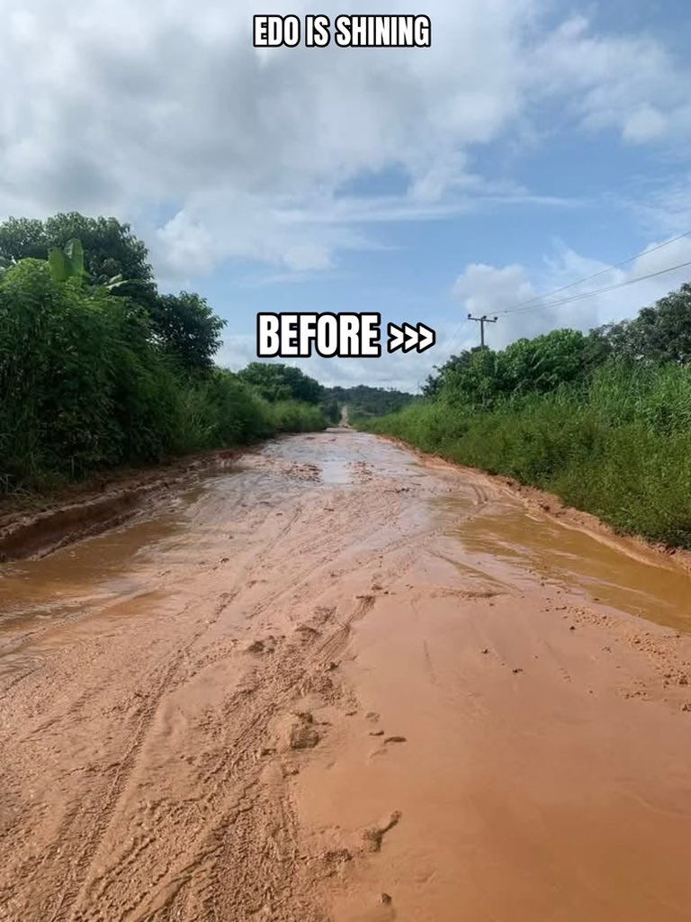 Harmless Damian tweet media